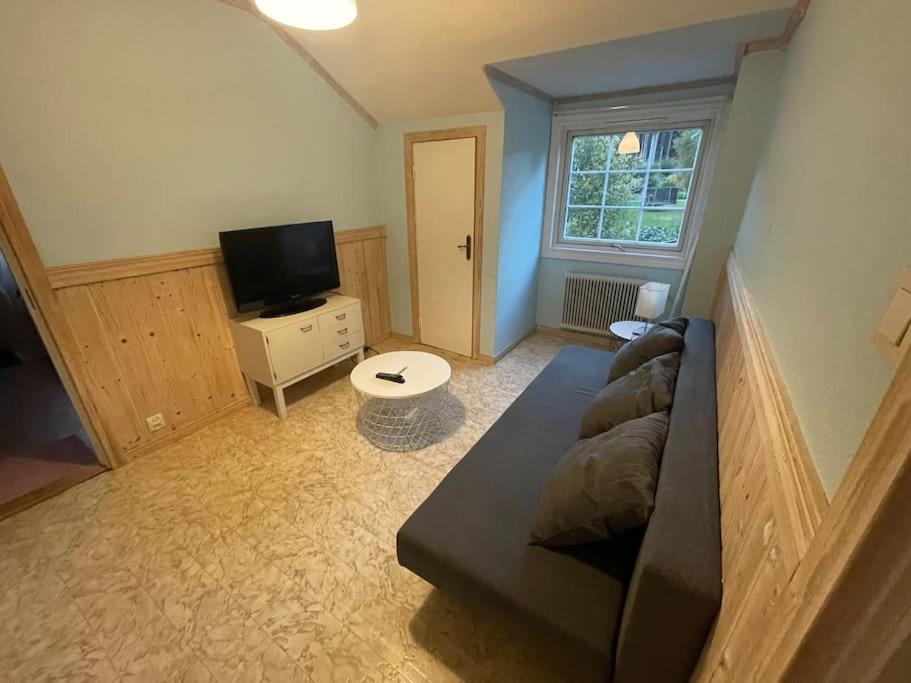 Large Cozy Villa Between Stockholm And Oslo Åmotfors 외부 사진
